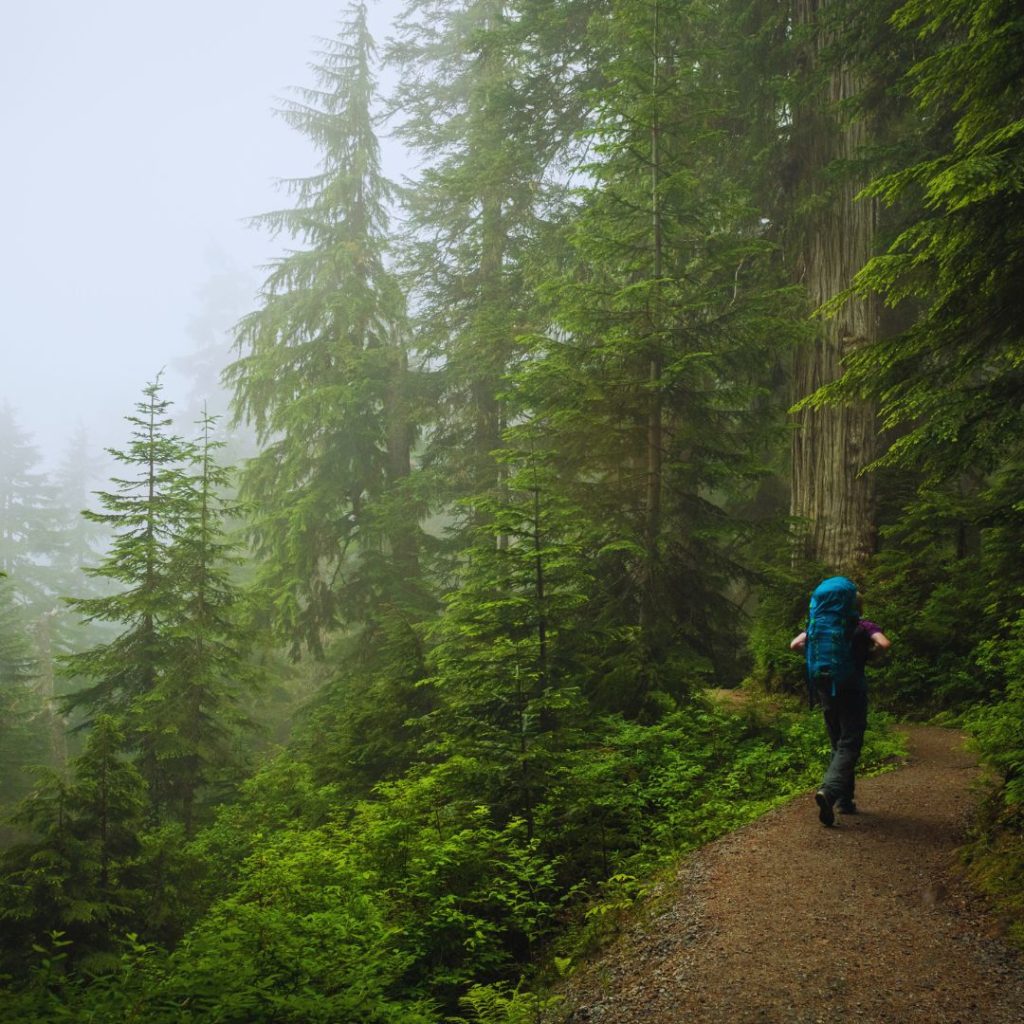 person with a blue backpack hiking through a misty forest