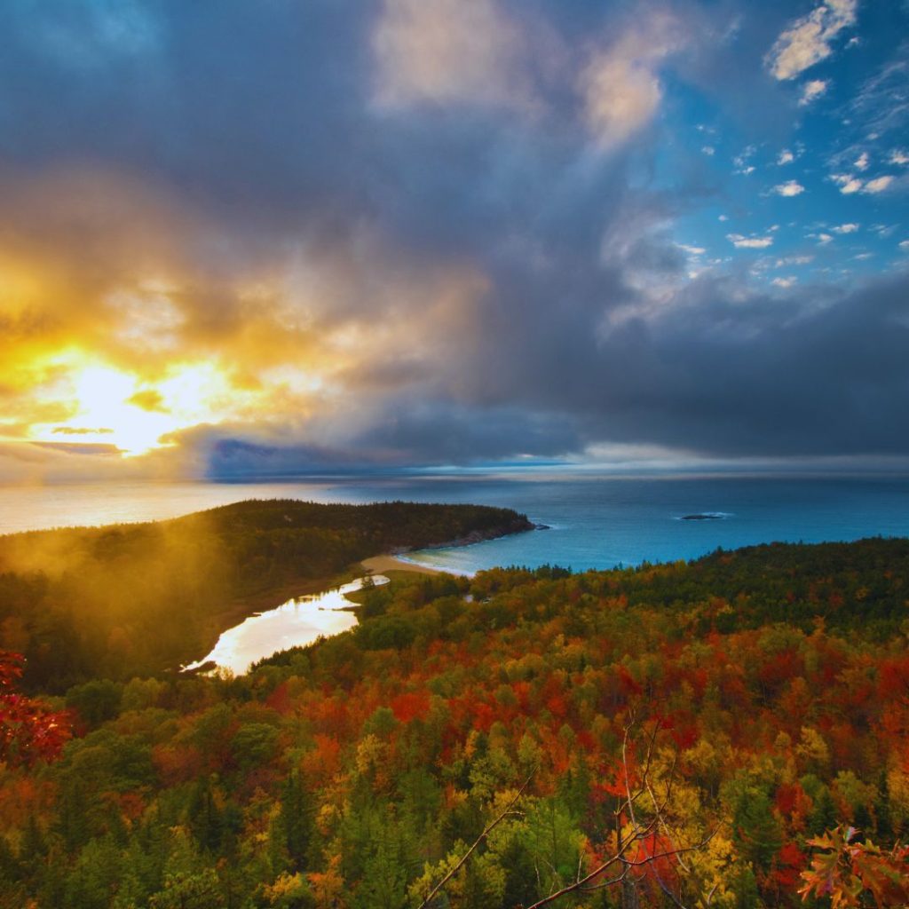 autumn tree with a body of water in the distance and the sun setting on the left